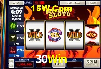Sistemas de Segurança 30Win